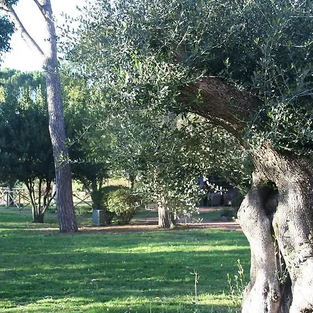 Hotel La Excelsior Assisi